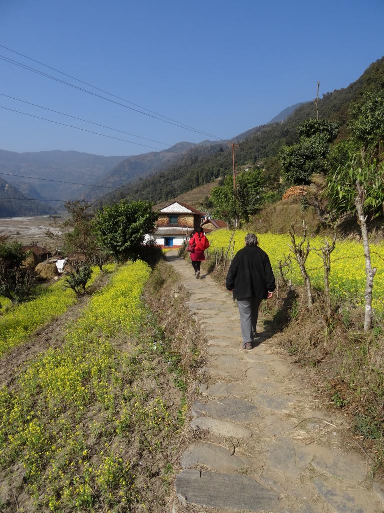 DSC04450 (2999x3999)
