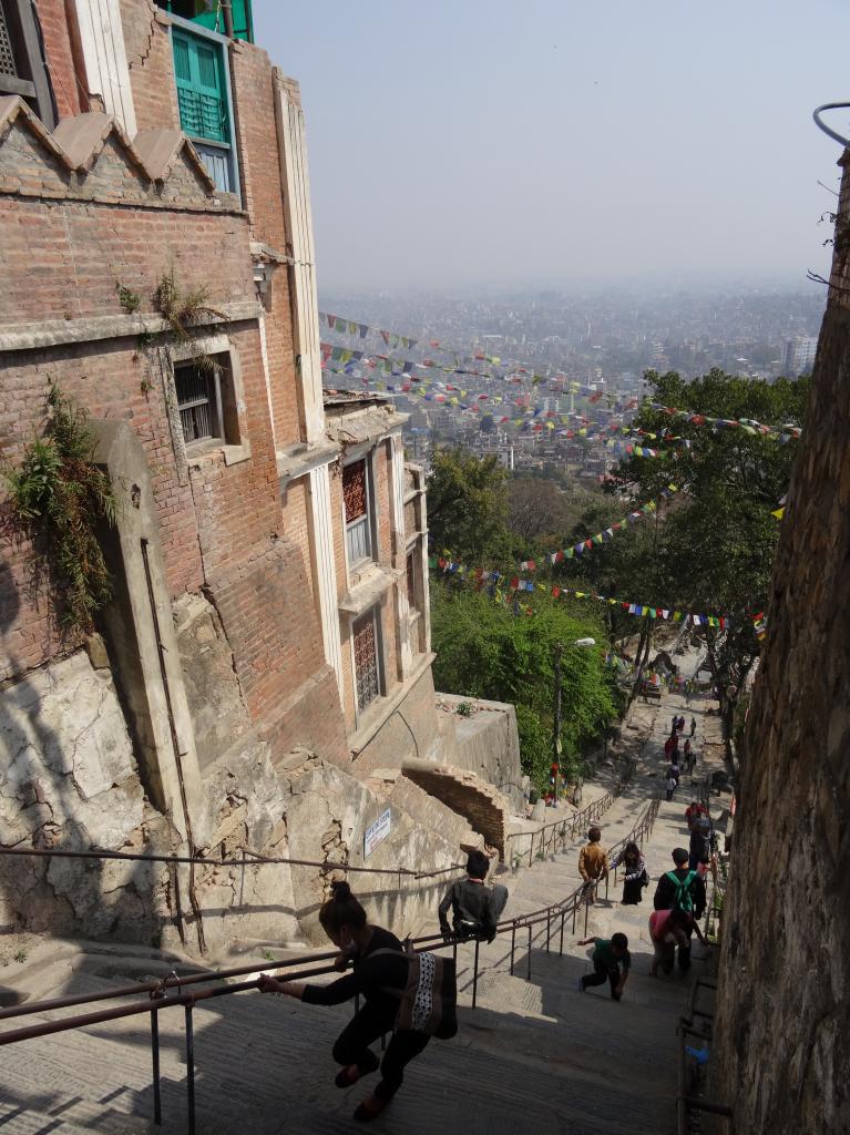 La montagne aux singes