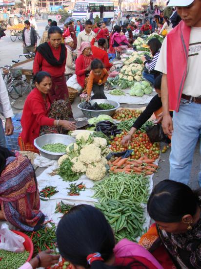 Le marché