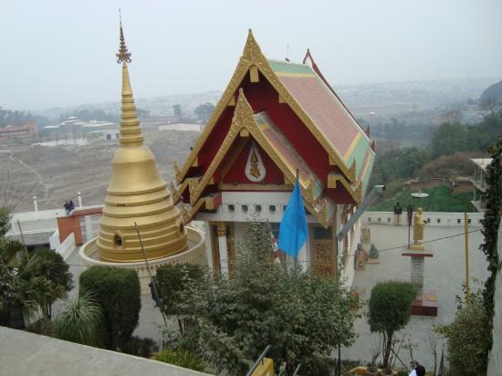 La montagne aux singes
